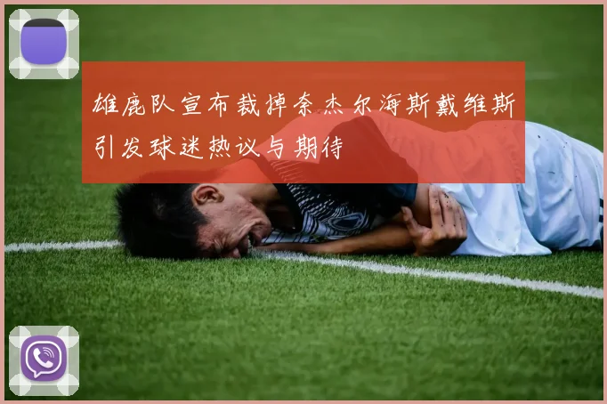 雄鹿队宣布裁掉奈杰尔海斯戴维斯引发球迷热议与期待