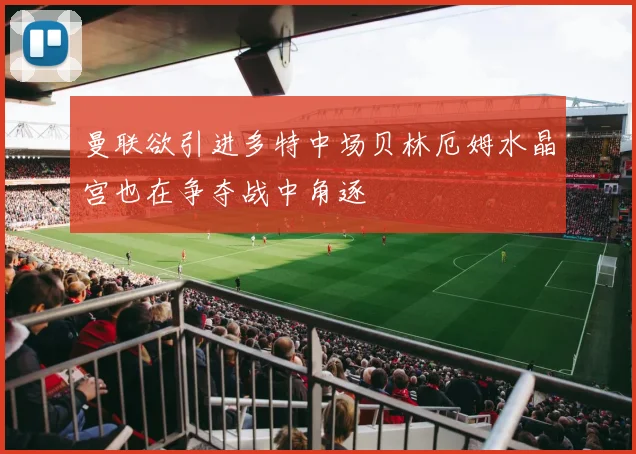 曼联欲引进多特中场贝林厄姆水晶宫也在争夺战中角逐