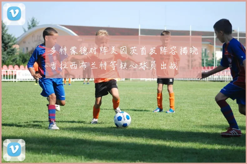多特蒙德对阵美因茨首发阵容揭晓吉拉西布兰特等核心球员出战